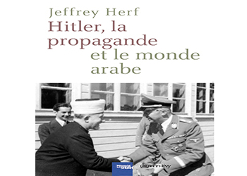 هتلر، البروباغندا والعالم العربي